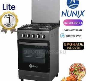 New Model 50*55 Nunix 3+1 Standing Cooker at 16000