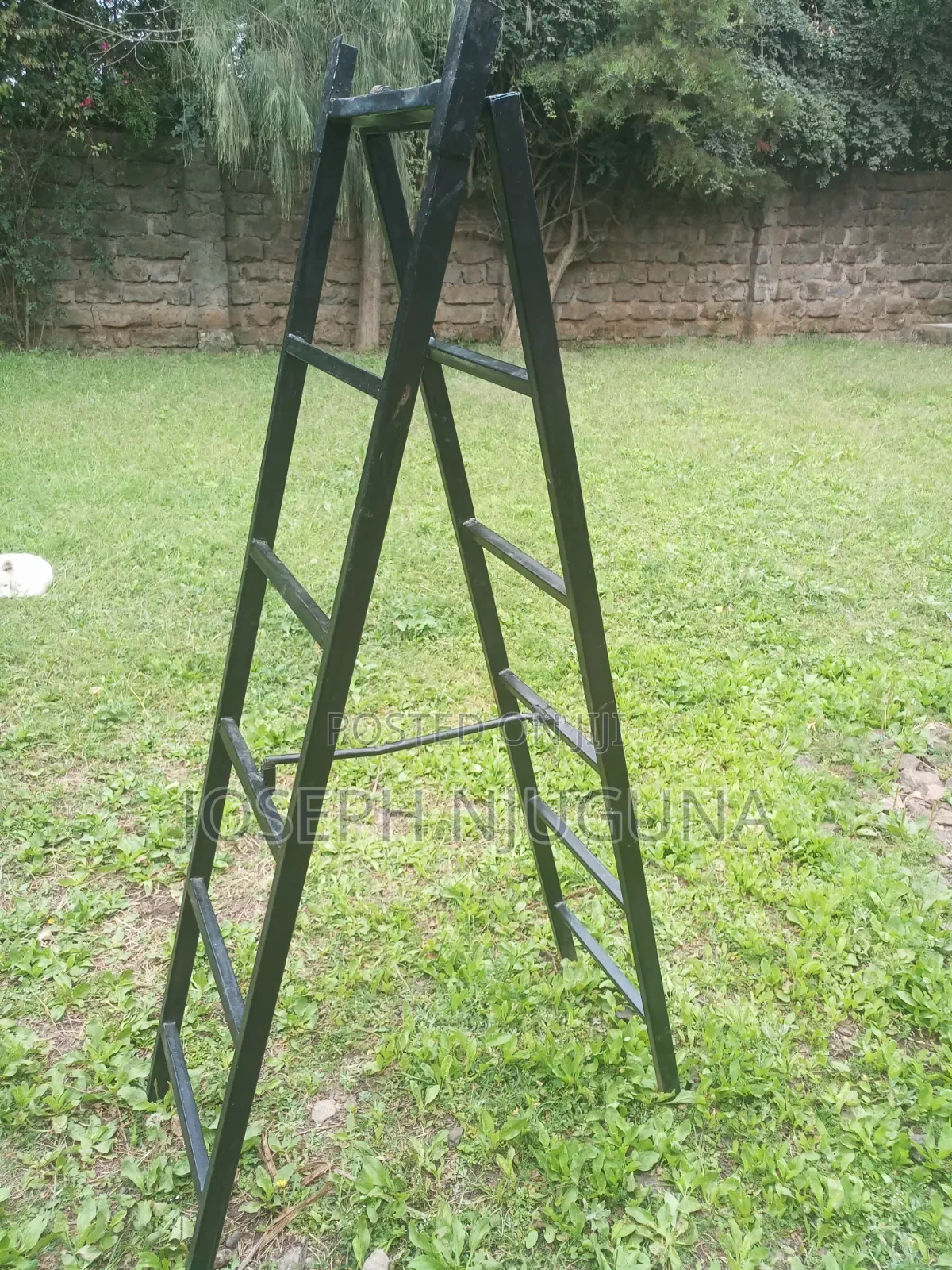 Folding Ladder