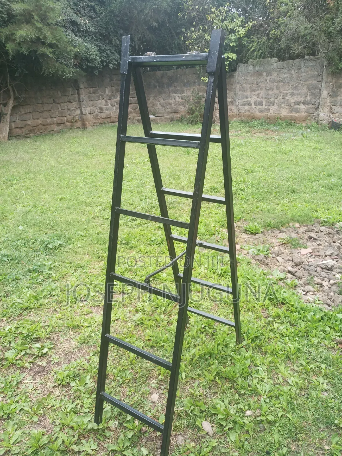 Folding Ladder