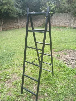 Folding Ladder
