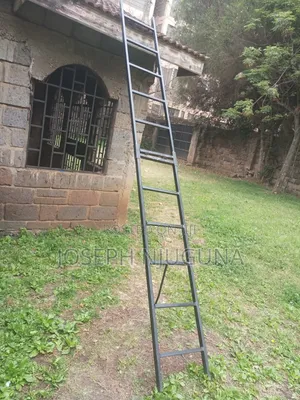 Folding Ladder