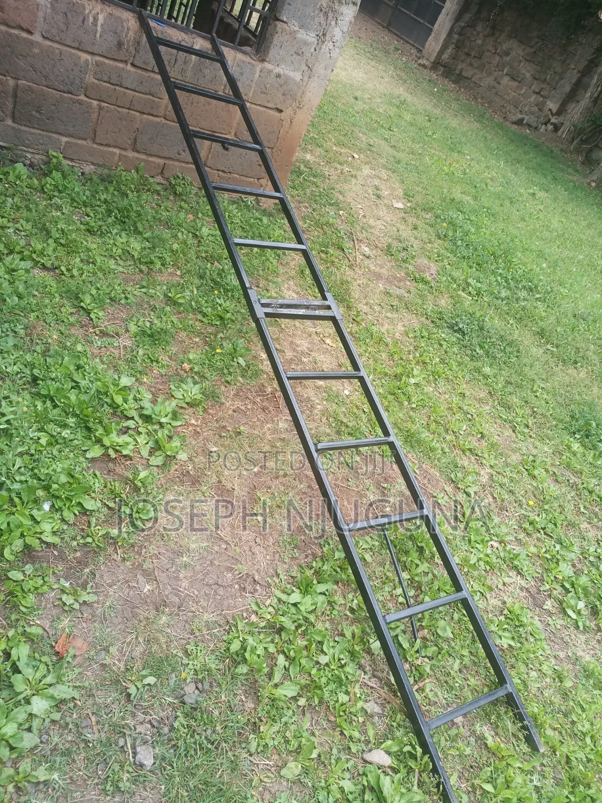 Folding Ladder