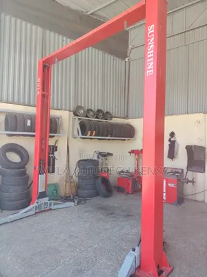 Efficient Stable and Reliable 2post Carlift 4tn Machine Sunshine Italy