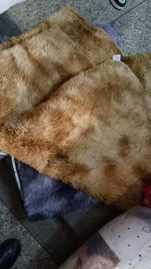 Add Character With Comfort 5 by 8 Fluffy Carpets