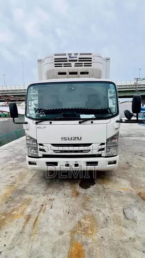 Isuzu ELF Freezer Body 2020 Model