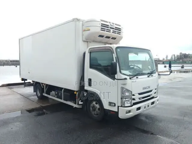 Isuzu ELF Freezer Body 2020 Model