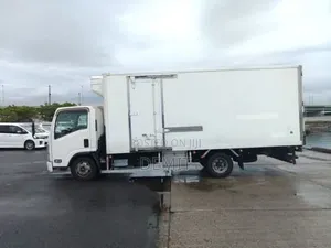 Isuzu ELF Freezer Body 2020 Model