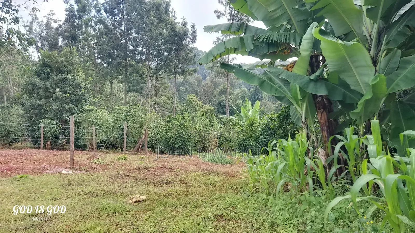 [101*101] or 1/4 Acr in Karatina,water,power-Kplc,all Weather Road