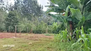 [101*101] or 1/4 Acr in Karatina,water,power-Kplc,all Weather Road
