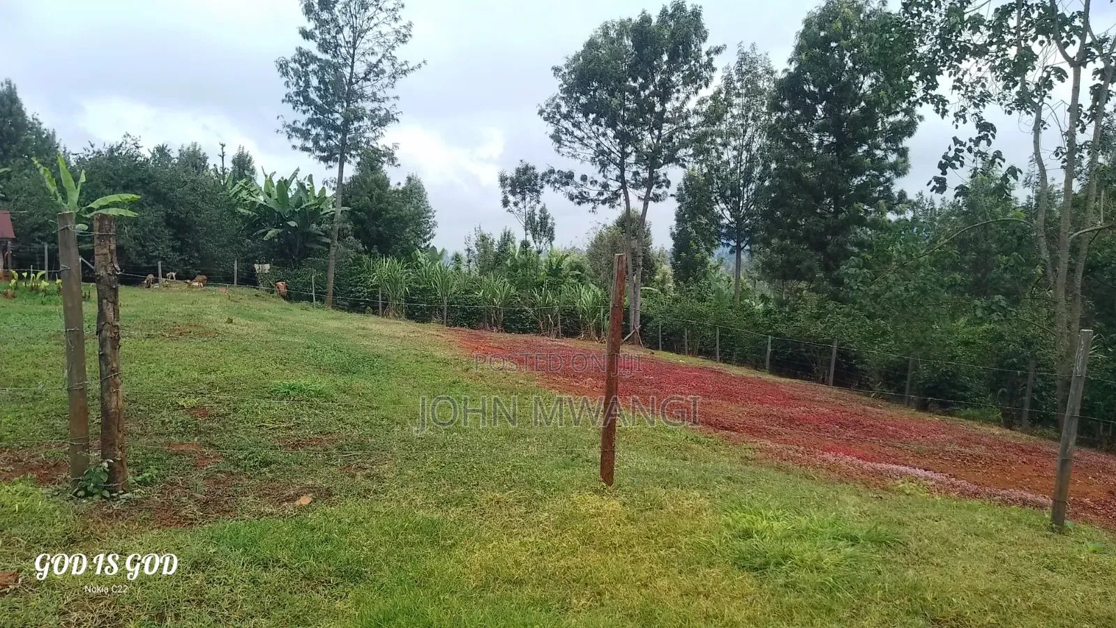 [101*101] or 1/4 Acr in Karatina,water,power-Kplc,all Weather Road
