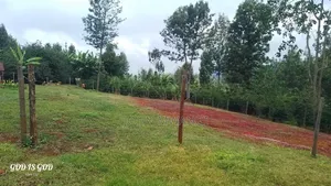 [101*101] or 1/4 Acr in Karatina,water,power-Kplc,all Weather Road