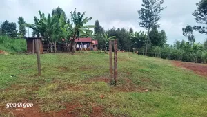 [101*101] or 1/4 Acr in Karatina,water,power-Kplc,all Weather Road