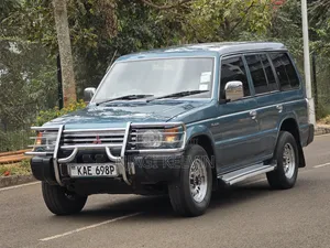 Mitsubishi Pajero 1995 Blue