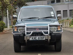 Mitsubishi Pajero 1995 Blue