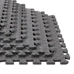 Multifunctional Interlocking Mat
