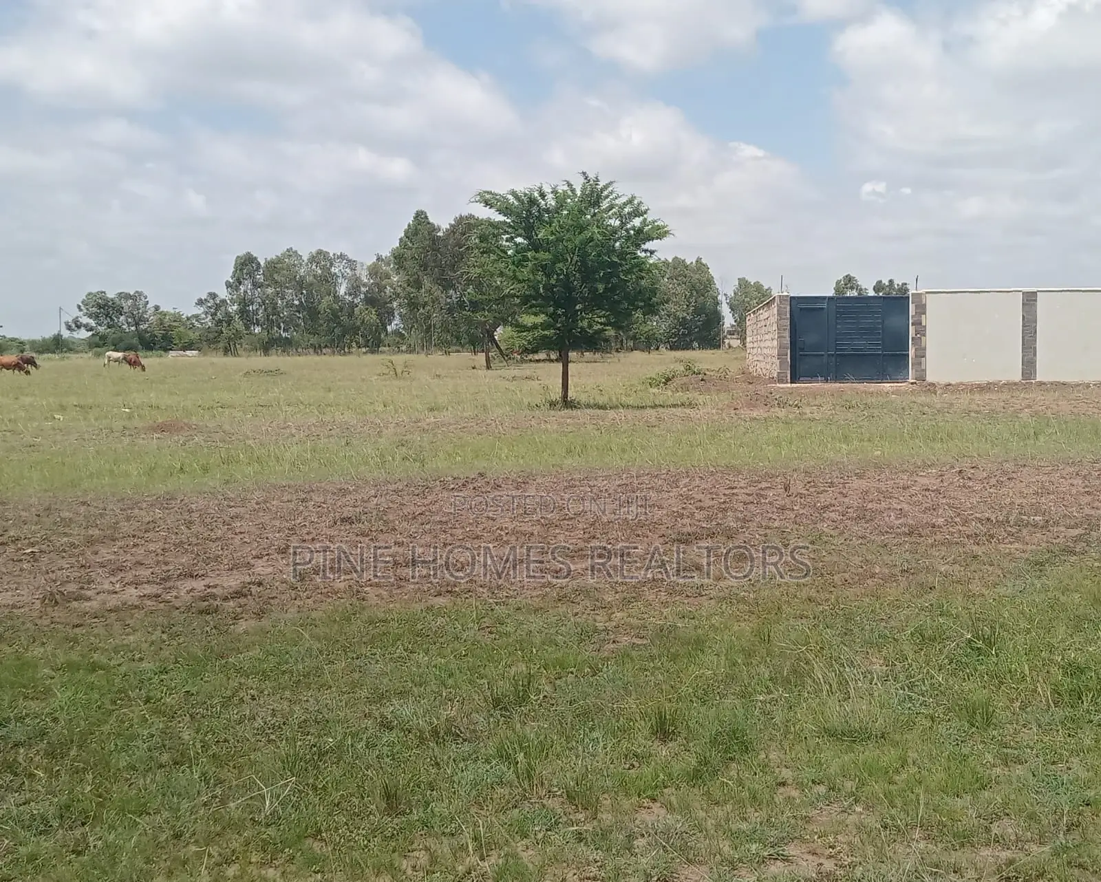 40 by 80 Residential Plot for Sale in Ngoingwa,tola