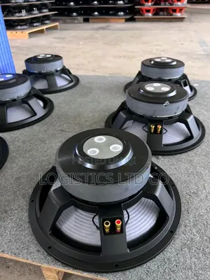 High-Performance 18-Inch Double Magnet