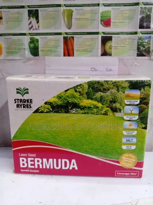 Bermuda Lawn Seed 500gm