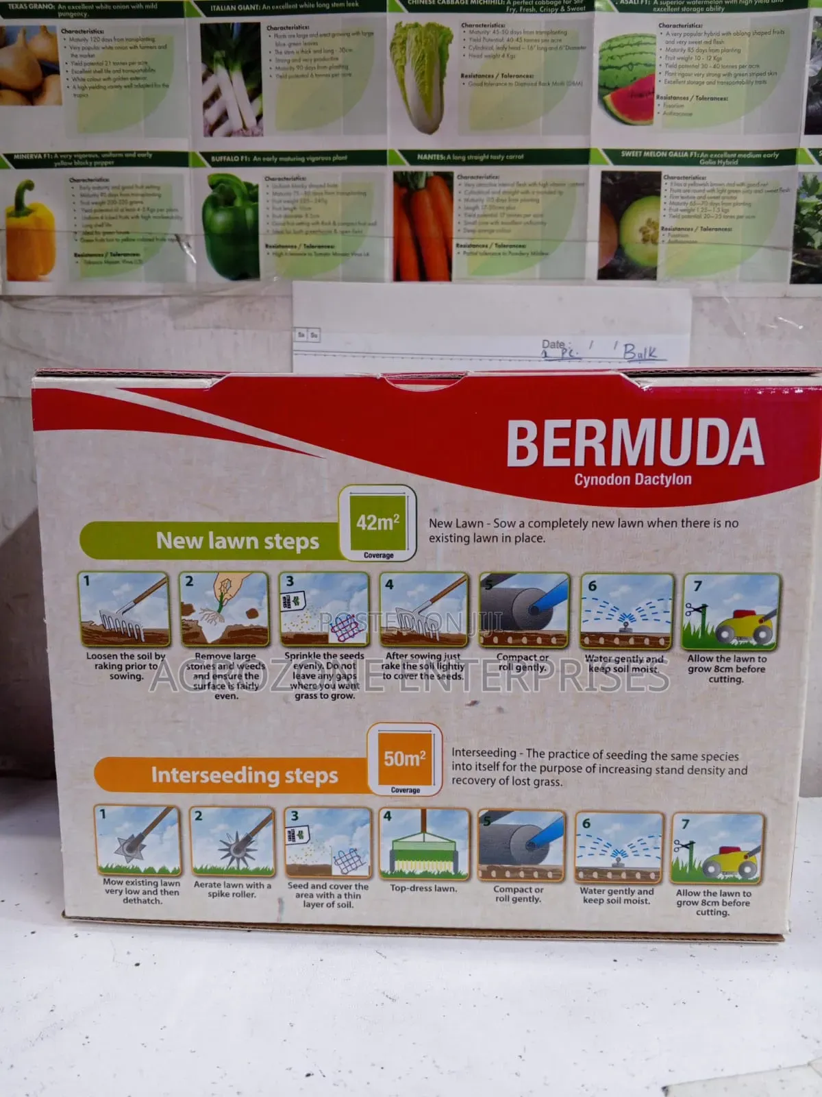 Bermuda Lawn Seed 500gm