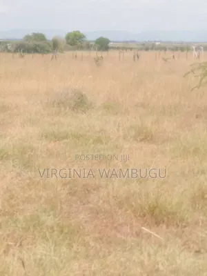 Plot for Sale