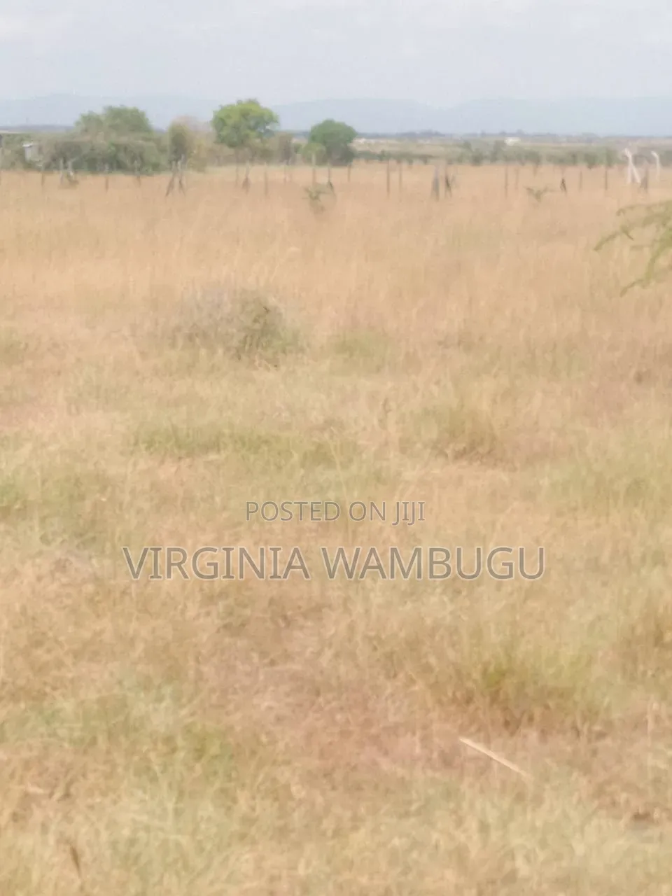 Plot for Sale