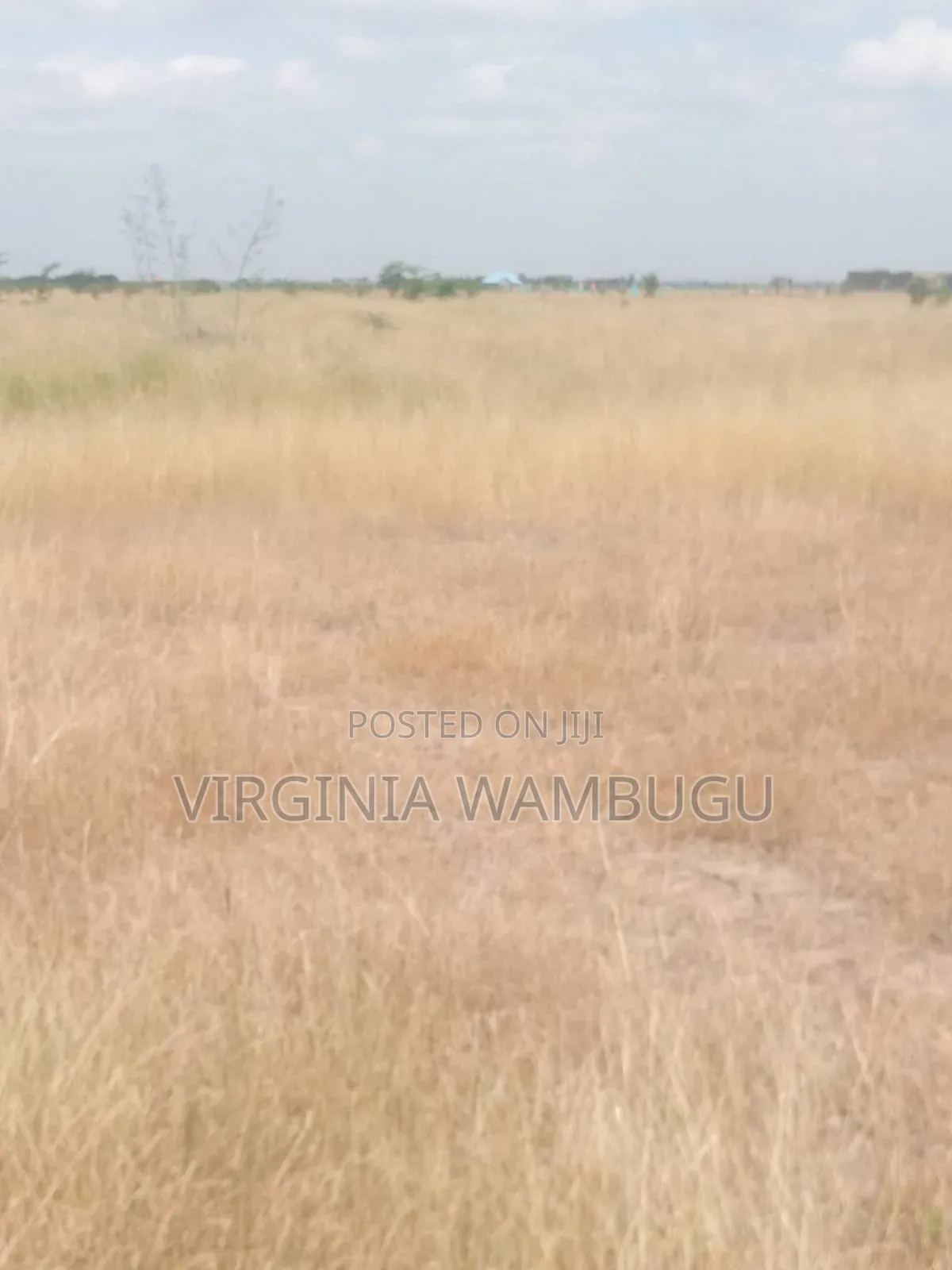 Plot for Sale
