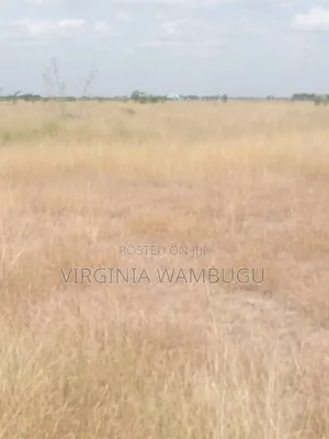 Plot for Sale