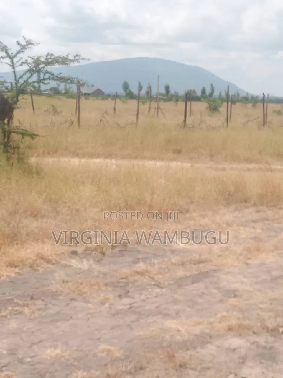 Plot for Sale