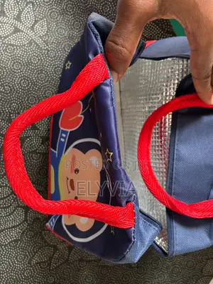Insulated Thermal Lunch Bag
