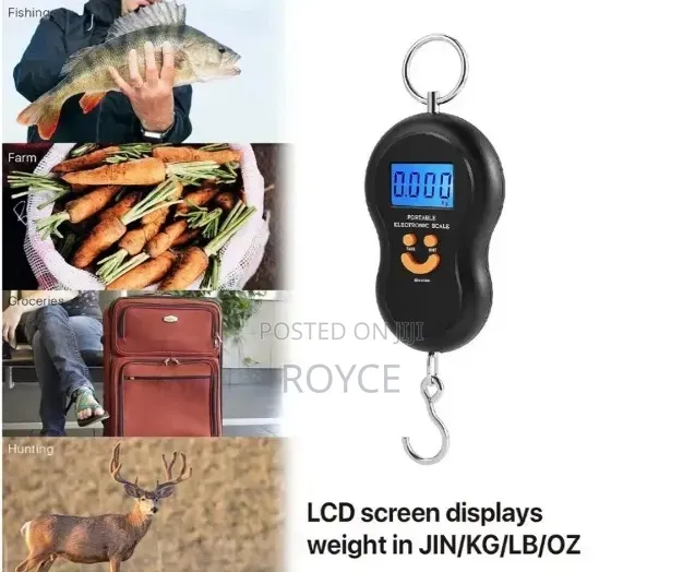 Portable Electronic Weighing Scale