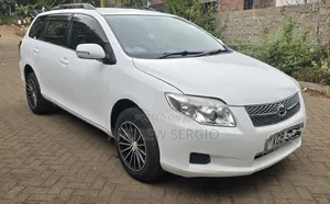 Toyota Corolla Fielder 2008 White