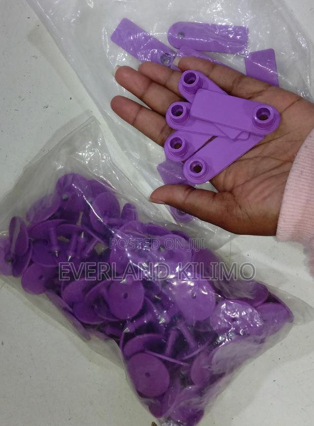 Plain Livestock Identification Cards Slim Tags for Sheeps