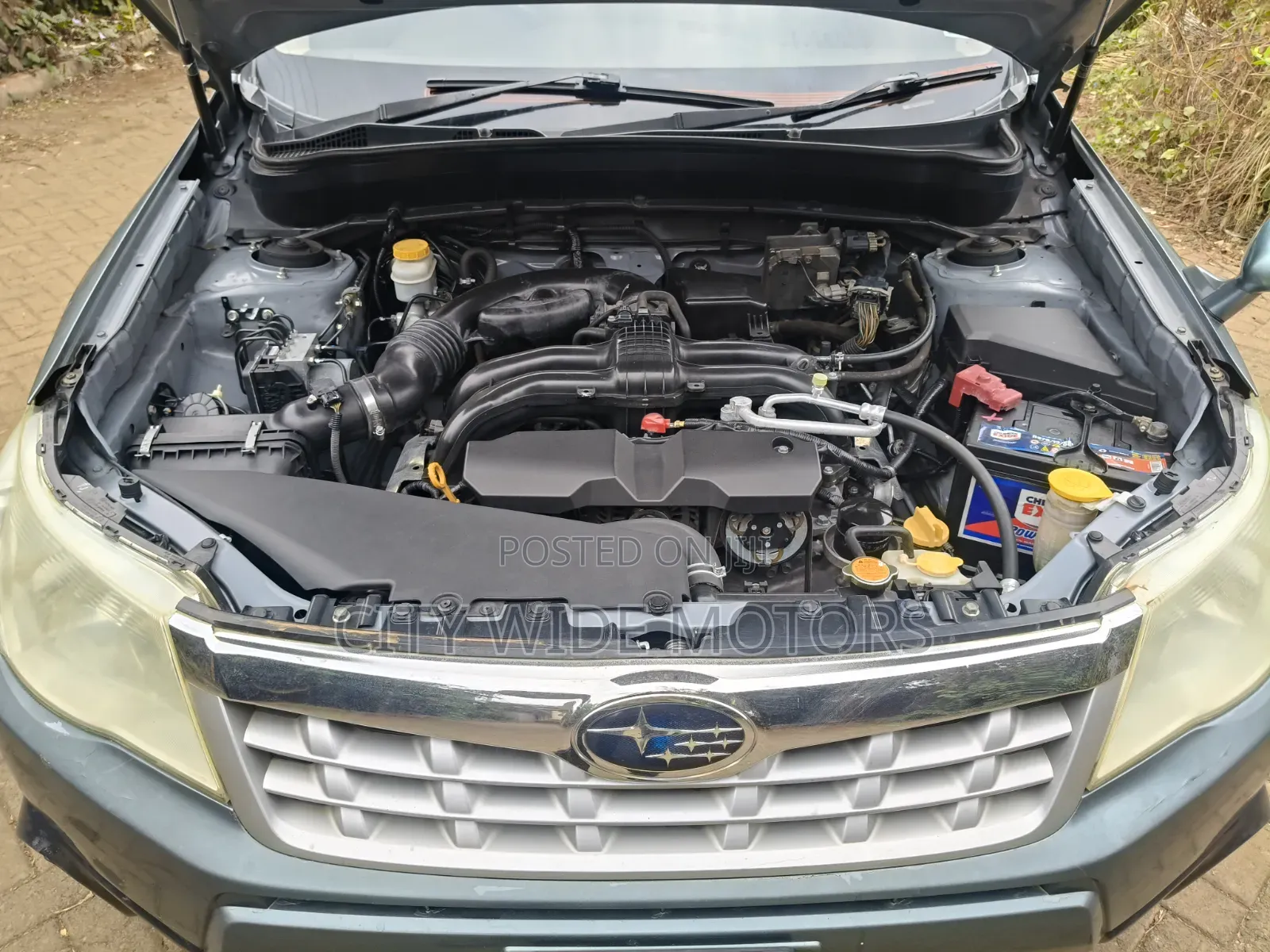Subaru Forester 2009 Green