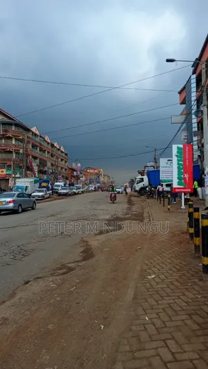 Prime on Lease Mwiki 1/4acre -Kasarani Road