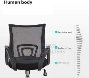 Mid Back Mesh Study Chair With Armrest