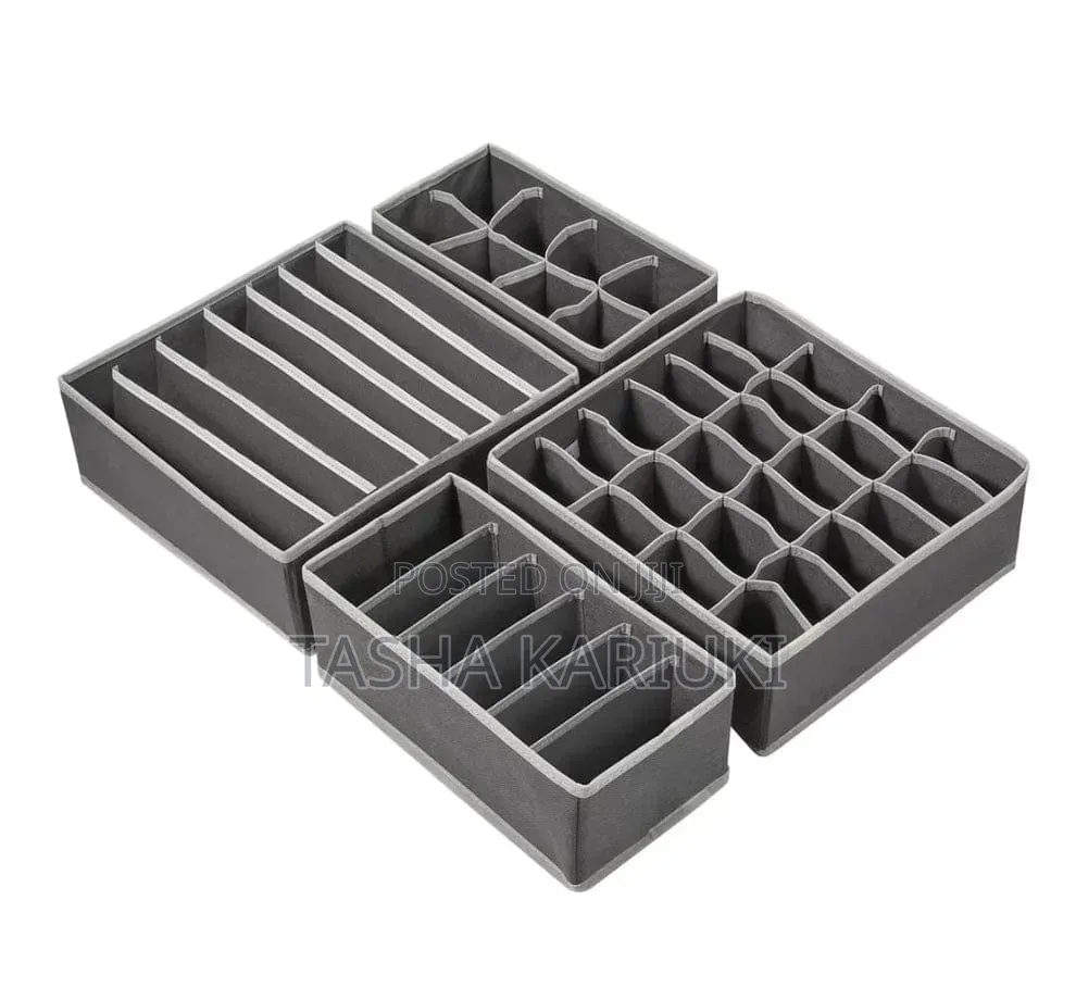 Foldable 4 in 1 Undergarments Organiser