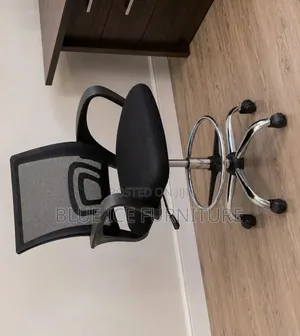 Ergonomic Mesh Office Chair With Chrome Base Footrest