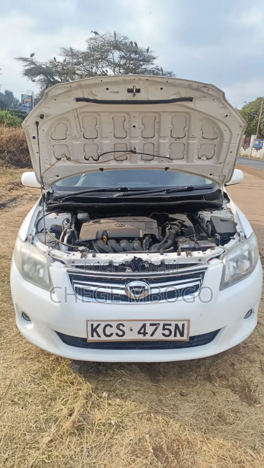 Toyota Corolla Fielder 2011 White