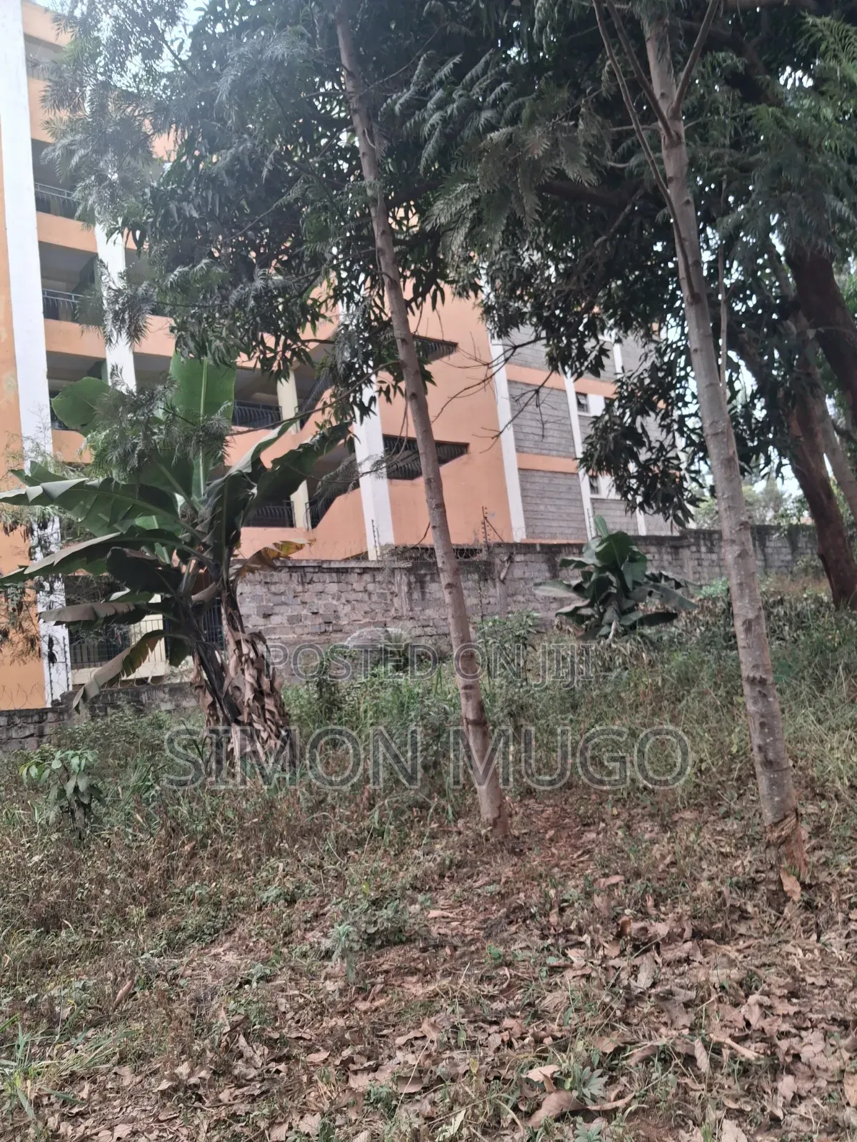 Kiamumbi Kamiti Road Prime 50x100 Behind Police Station