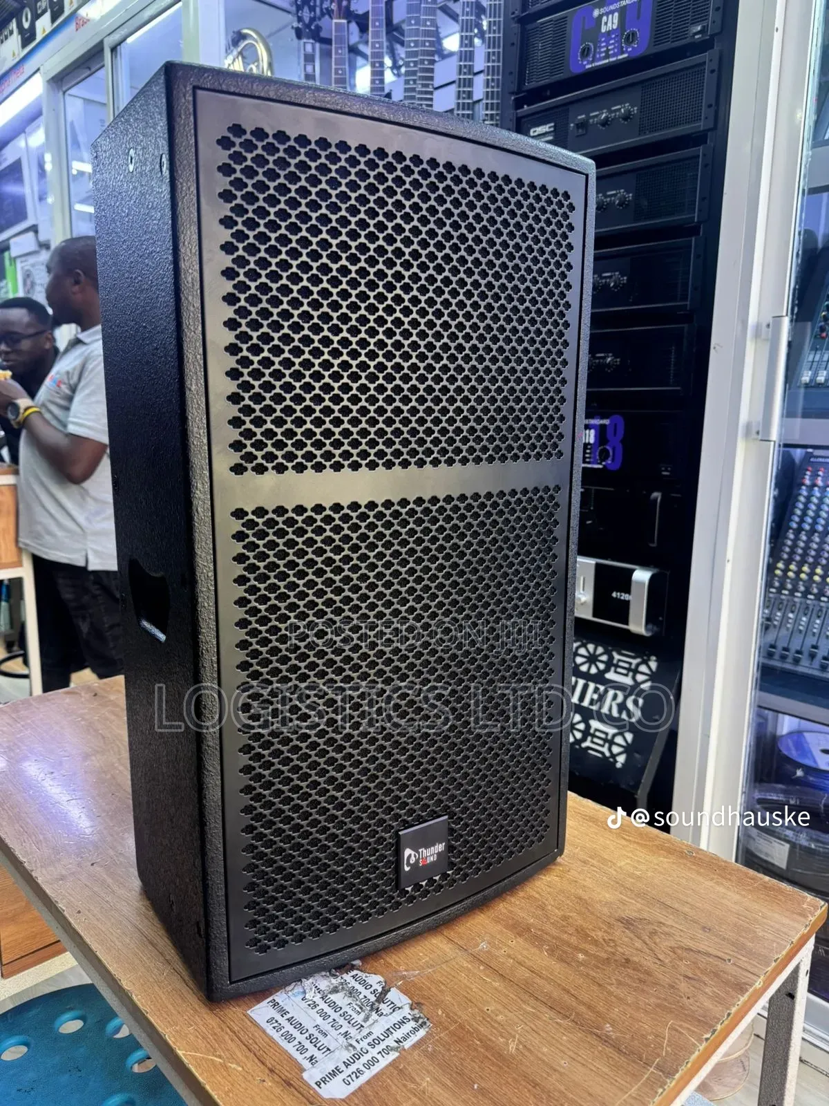 Thunder Sound TS 112 Speaker for Powerful DJs and Churches