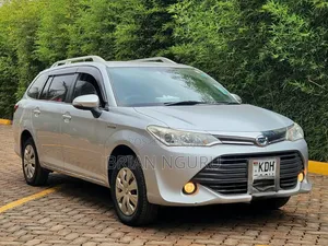 Toyota Corolla Fielder 2017 Silver