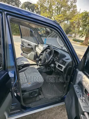 Mitsubishi Pajero 2002 Blue
