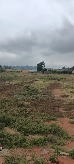 Kikuyu Prime 2 Acres in Nachu Mbomboini on Tarmac