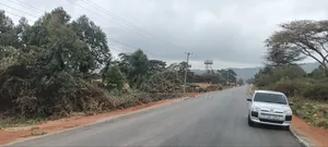 Kikuyu Prime 2 Acres in Nachu Mbomboini on Tarmac