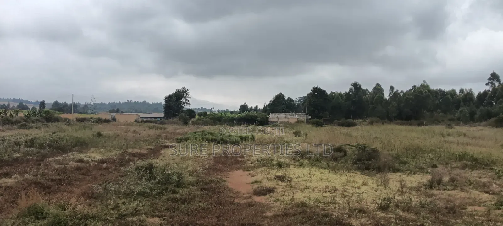 Kikuyu Prime 2 Acres in Nachu Mbomboini on Tarmac