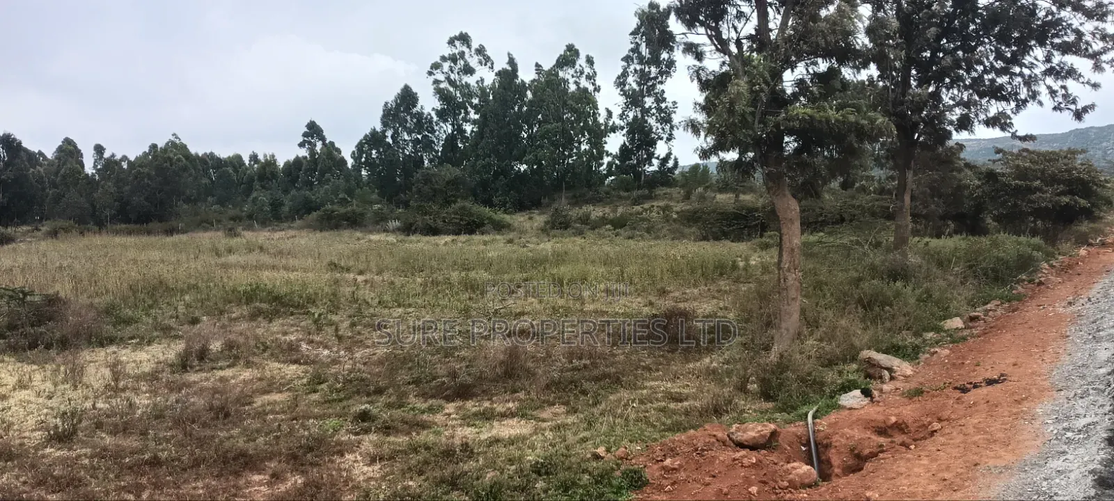 Kikuyu Prime 2 Acres in Nachu Mbomboini on Tarmac