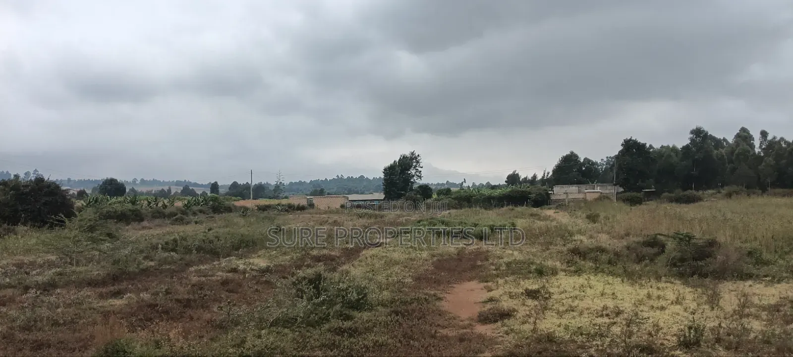 Kikuyu Prime 2 Acres in Nachu Mbomboini on Tarmac