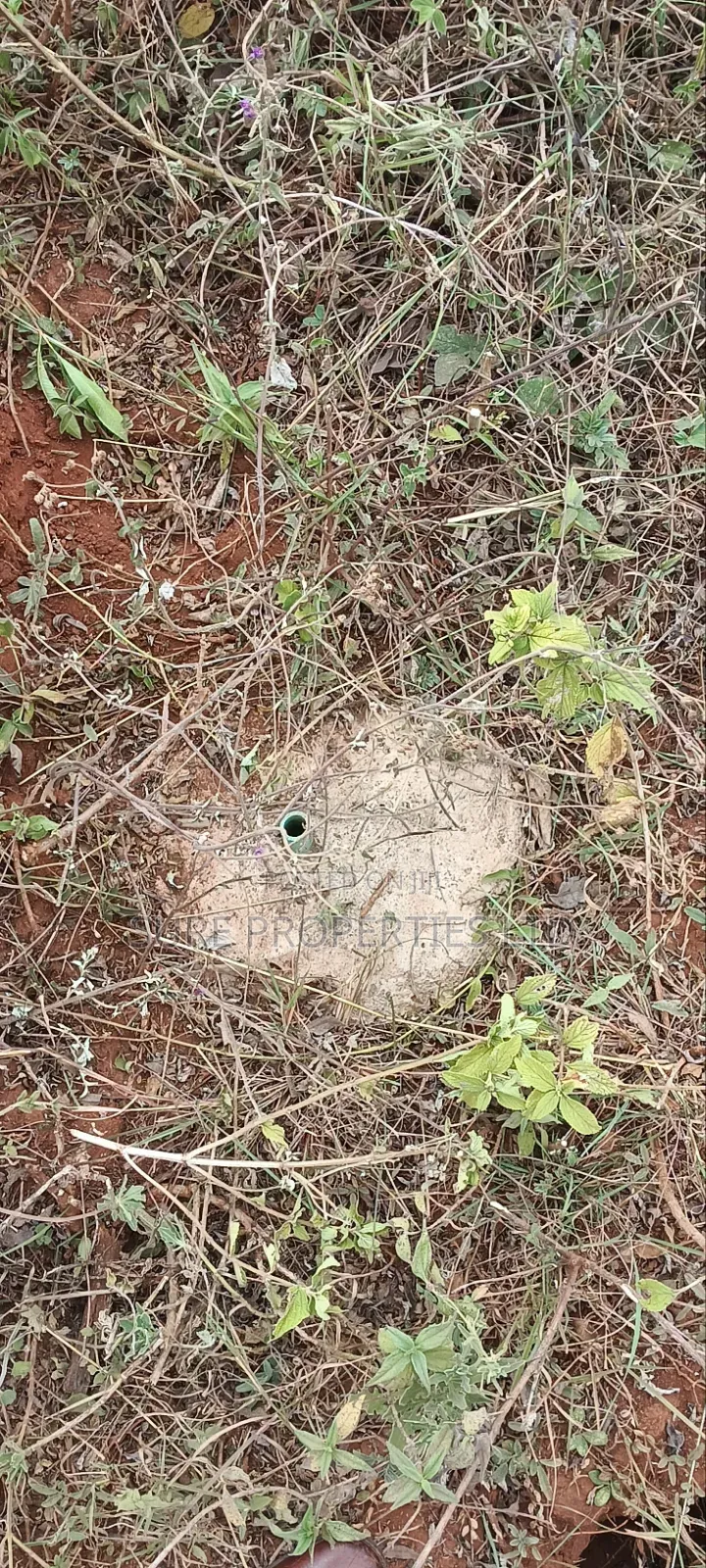 Kikuyu Prime 2 Acres in Nachu Mbomboini on Tarmac