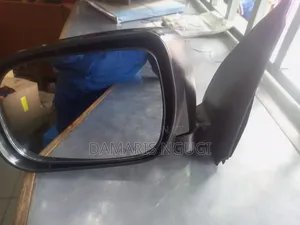 Vigo Sidemirror Ex Japan