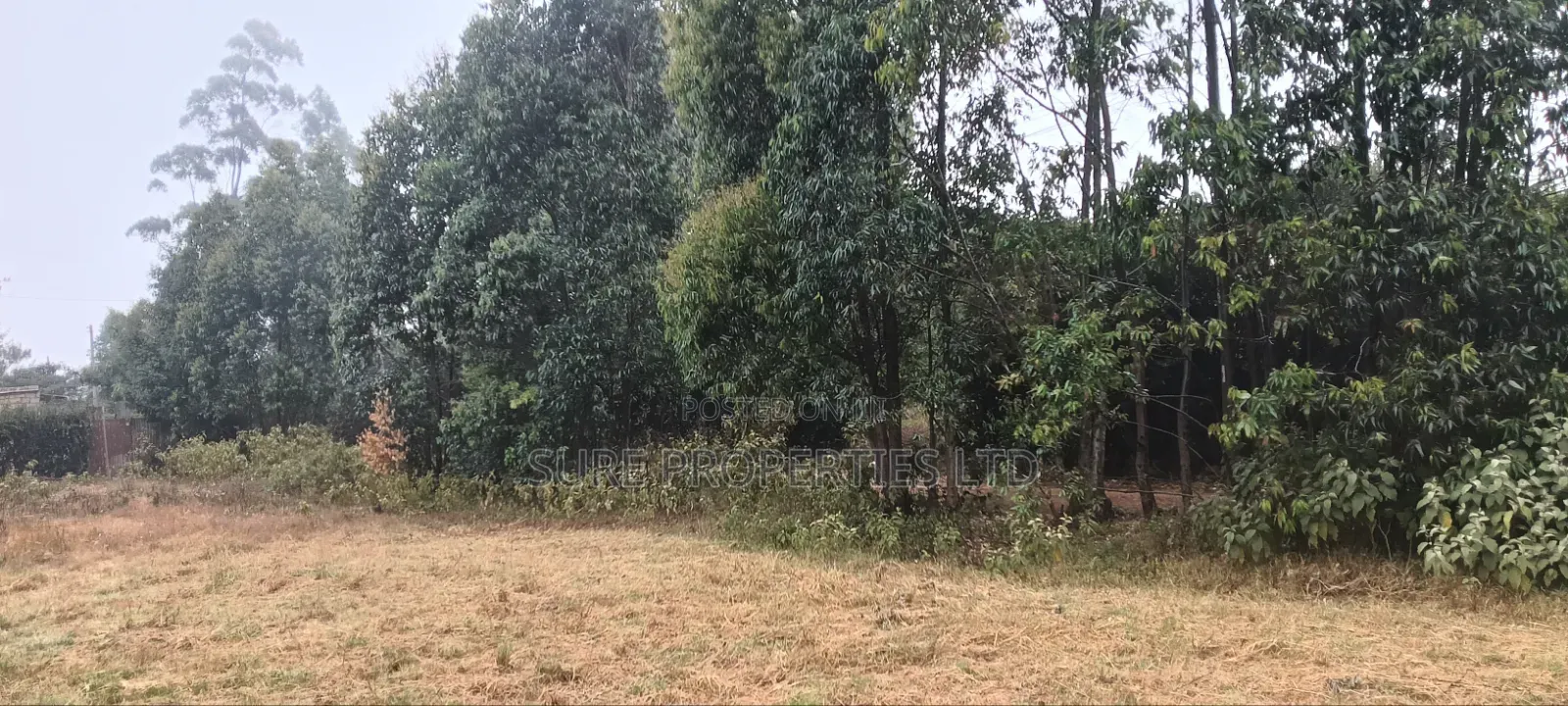 50x100 Plot in Thigio, Lusingetti